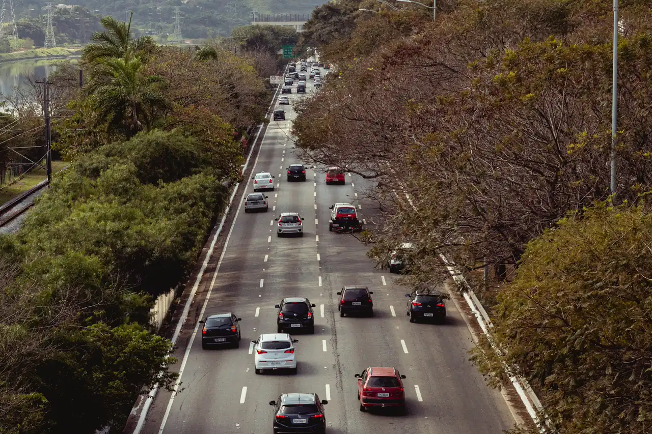 Avenida com carros passando entre árvores.