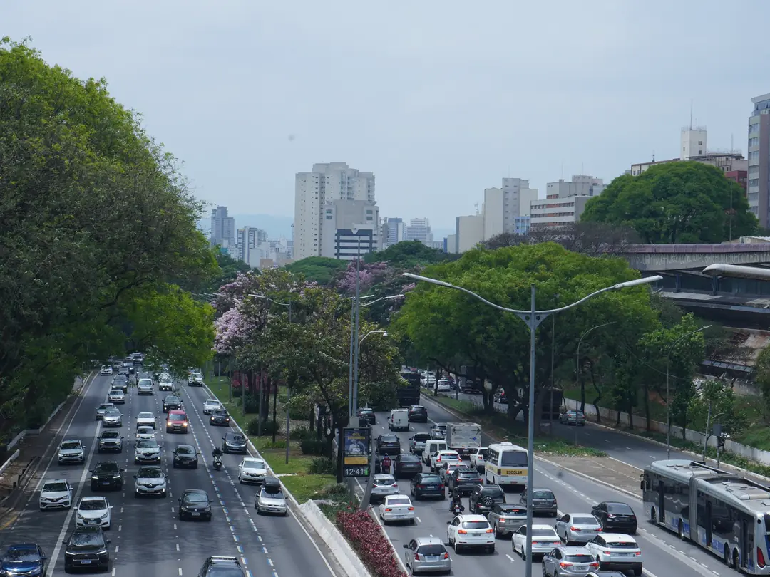 Avenida de São Paulo com trânsito intenso de carros e ônibus, árvores e prédios ao fundo.